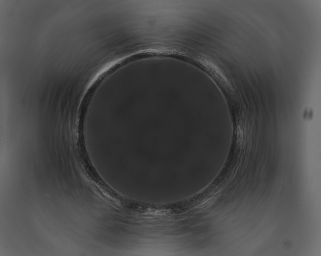 X0000091240484200708231721