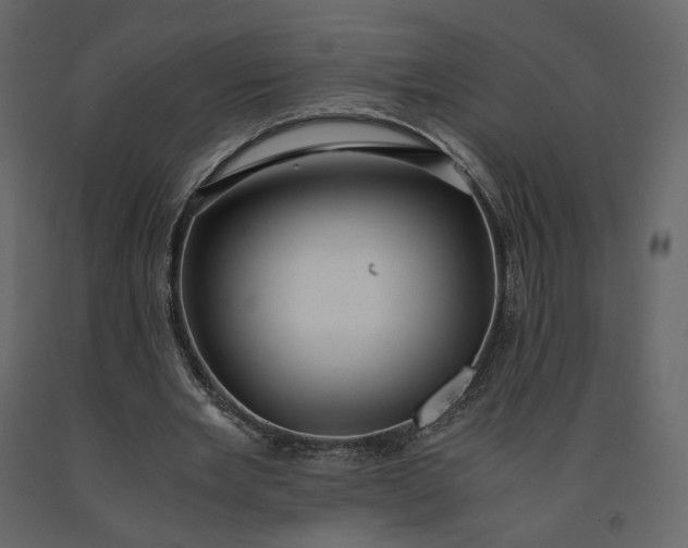 X0000091240485200708231721