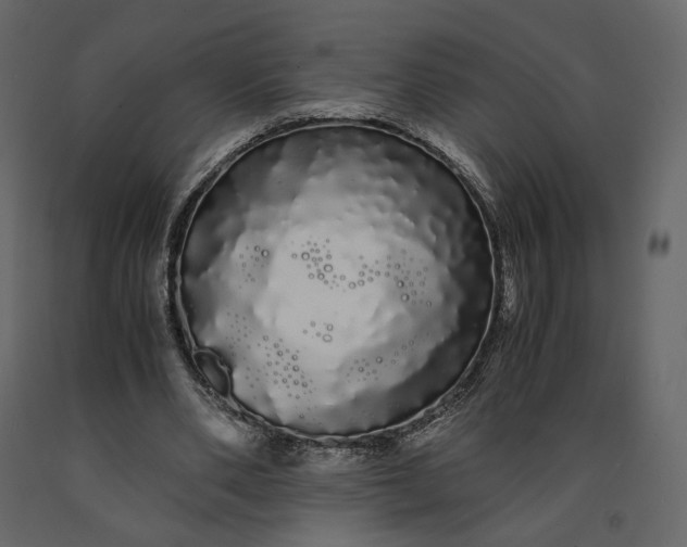 X0000091240486200708231721