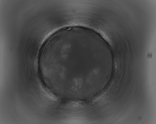 X0000091240488200708231721