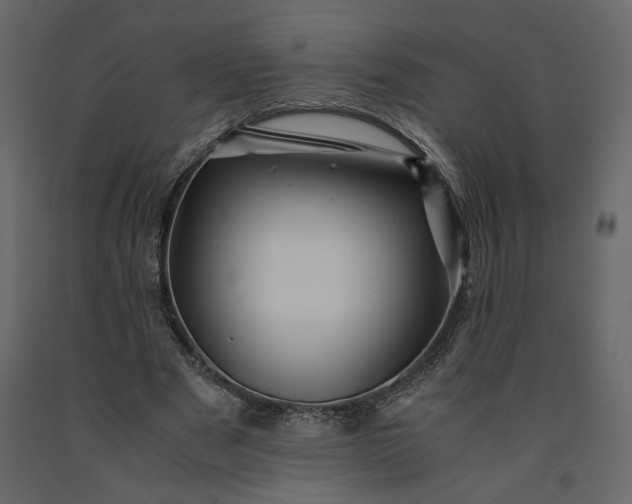X0000091240489200708231721