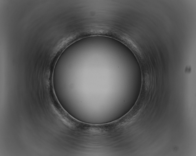 X0000091240490200708231721