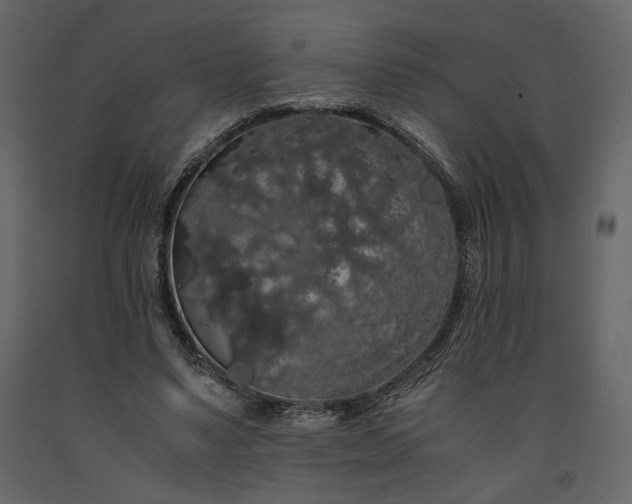 X0000091240491200708231721