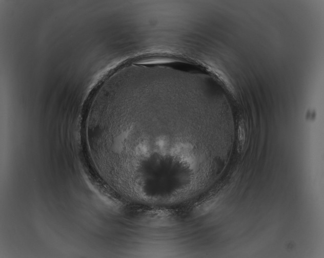 X0000091240492200708231720