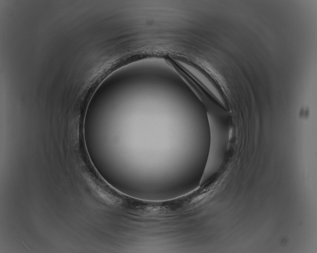 X0000091240493200708231720