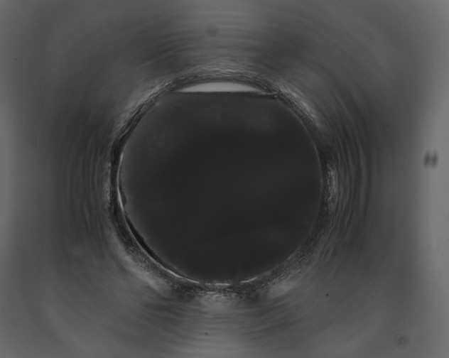 X0000091240494200708231720