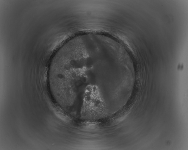 X0000091240495200708231720