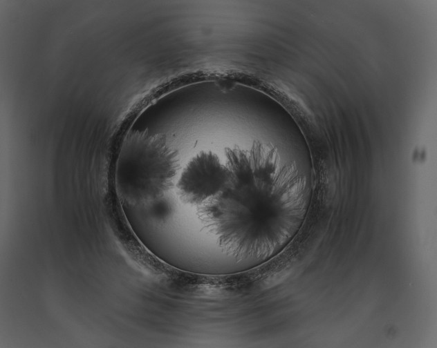 X0000091240496200708231720