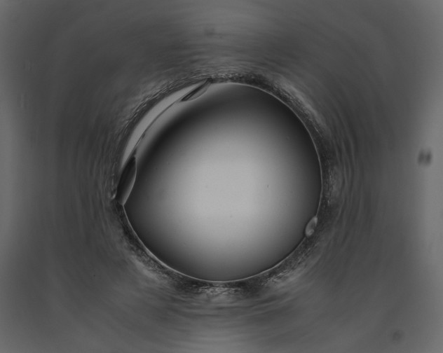 X0000091240497200708231720