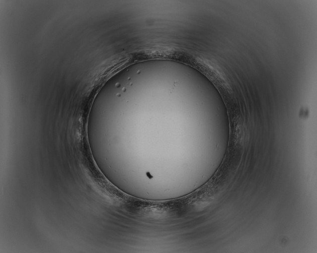 X0000091240498200708231720