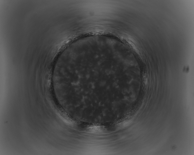 X0000091240499200708231720