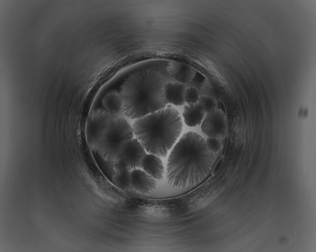 X0000091240500200708231720