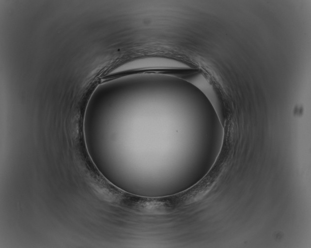 X0000091240501200708231720