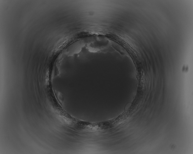 X0000091240502200708231720