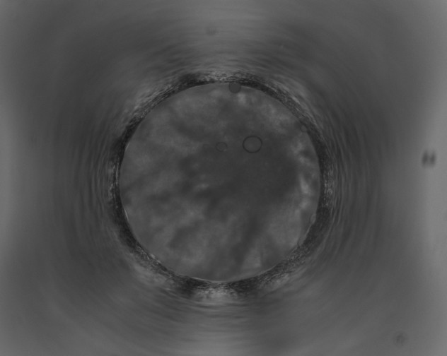 X0000091240503200708231720