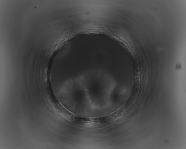 X0000091240504200708231720