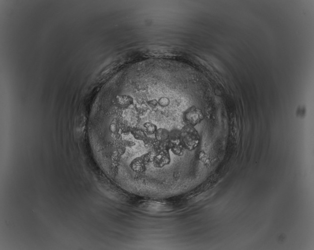 X0000091240507200708231720
