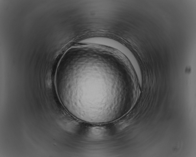 X0000091240508200708231720