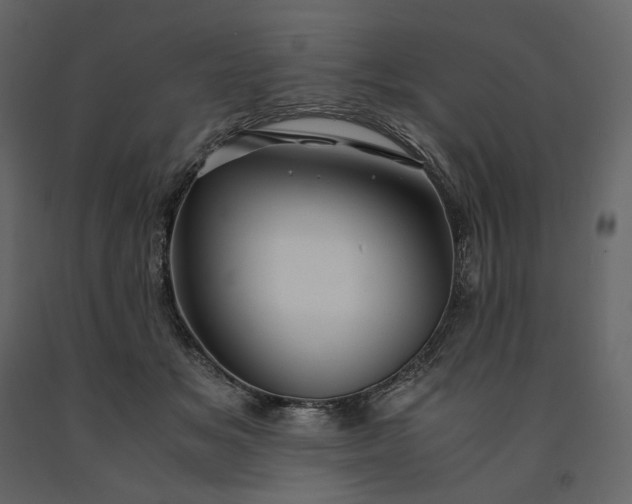 X0000091240509200708231720