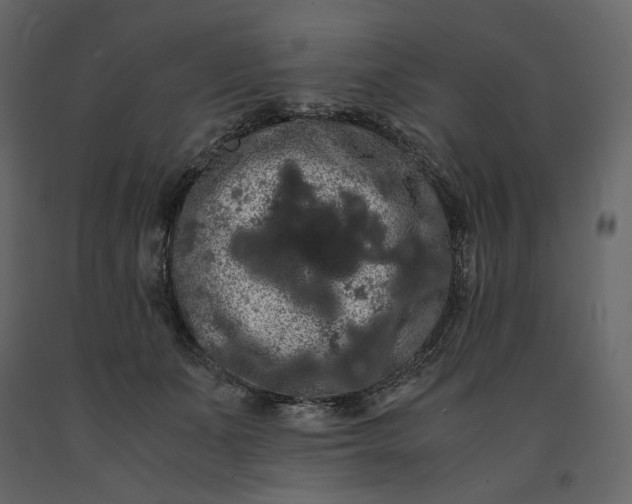 X0000091240511200708231720