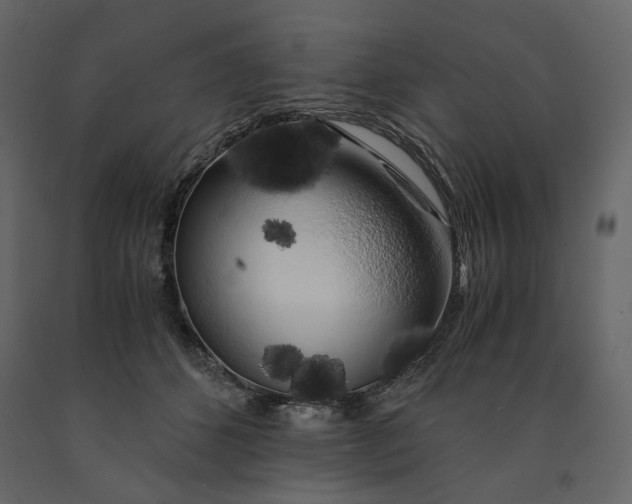 X0000091240512200708231720