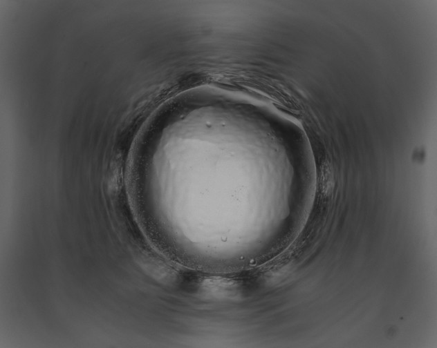 X0000091240515200708231720