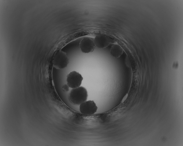 X0000091240516200708231720
