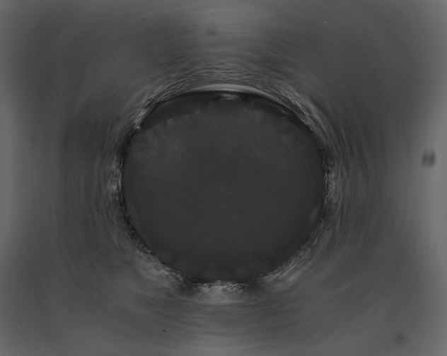 X0000091240517200708231720