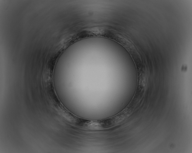 X0000091240518200708231720
