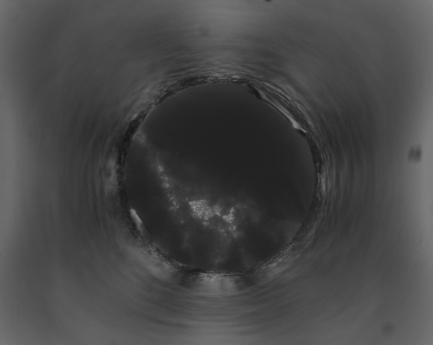 X0000091240520200708231720