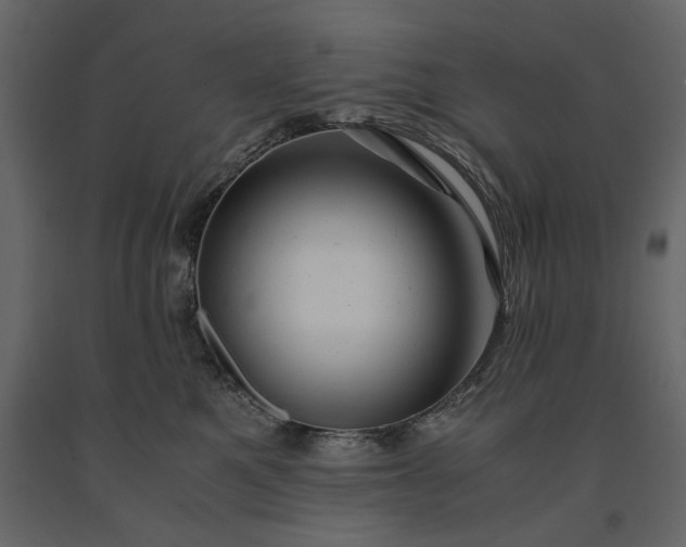 X0000091240521200708231720