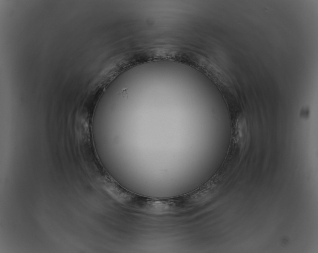 X0000091240522200708231720