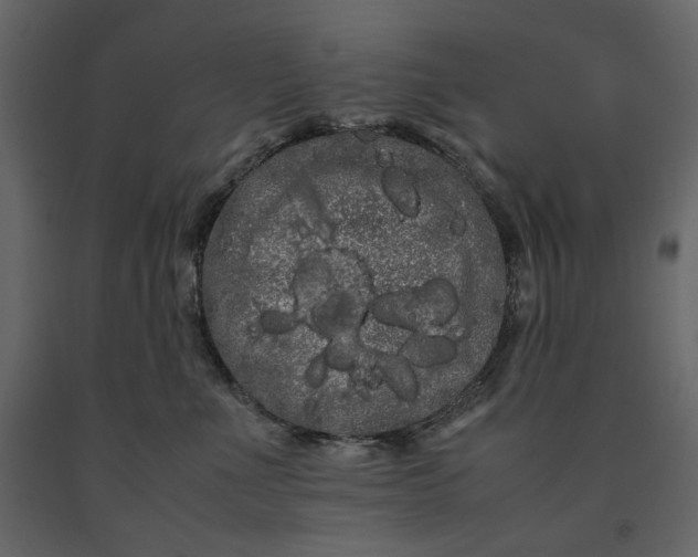 X0000091240523200708231720