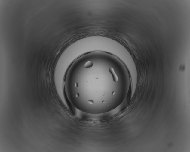 X0000091240524200708231720
