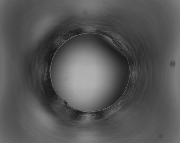 X0000091240525200708231720