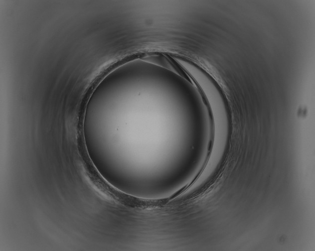 X0000091240530200708231719