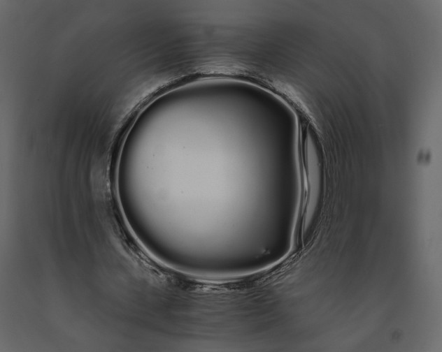 X0000091240531200708231719