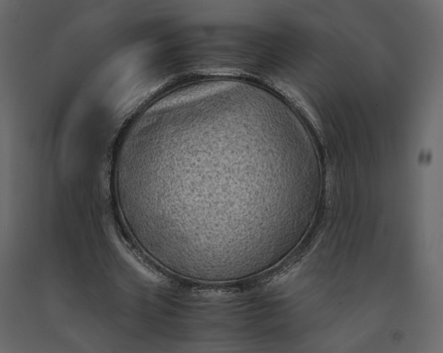 X0000091240533200708231719