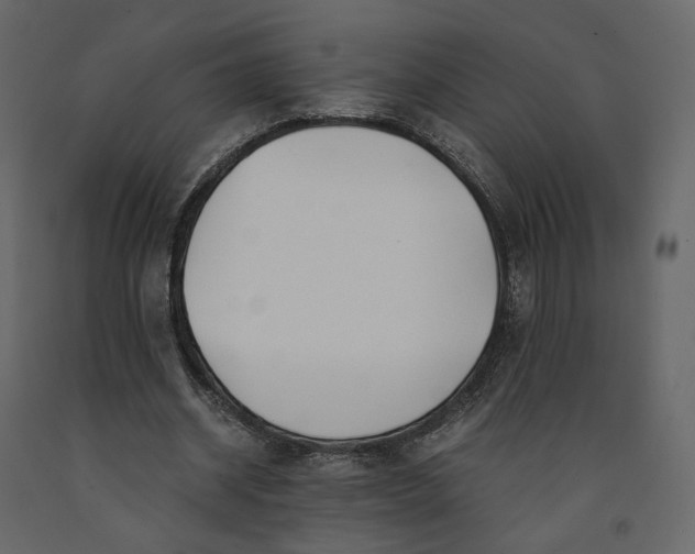 X0000091240534200708231719