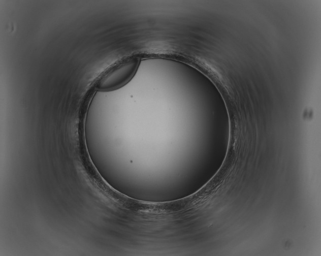 X0000091240535200708231719