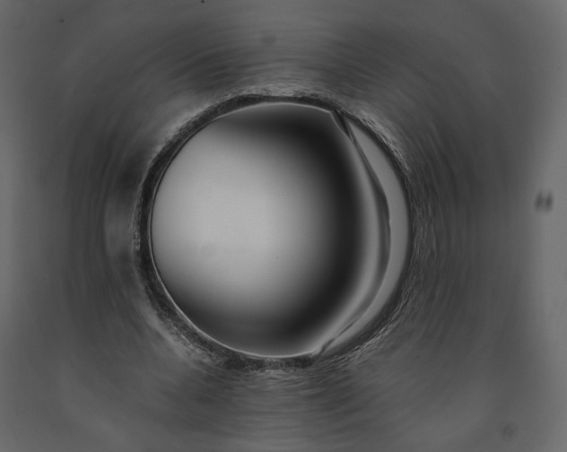 X0000091240536200708231719