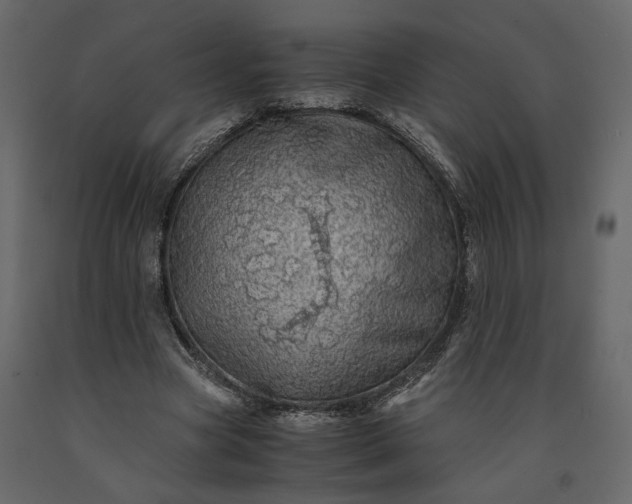 X0000091240537200708231719