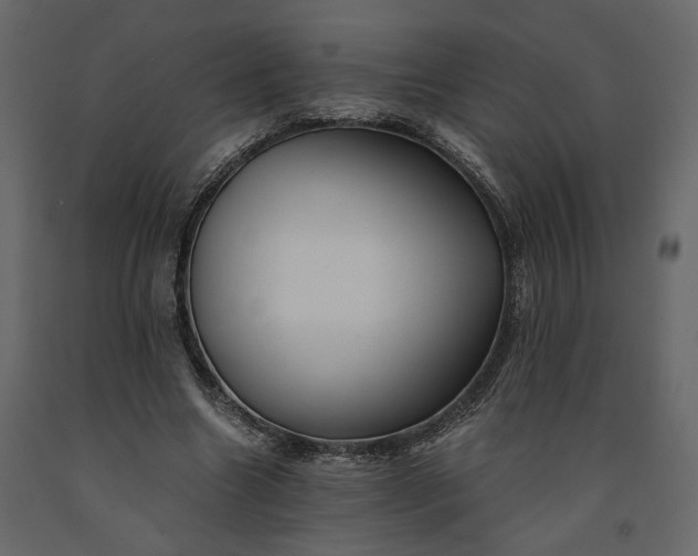 X0000091240538200708231719