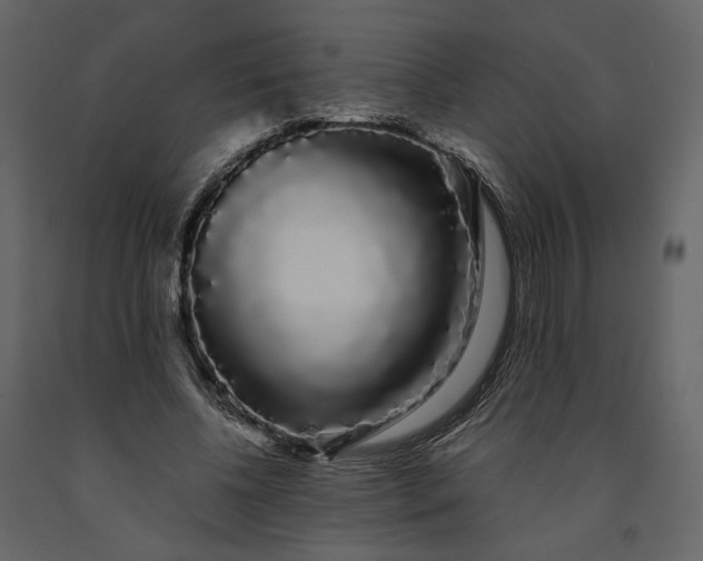 X0000091240540200708231719