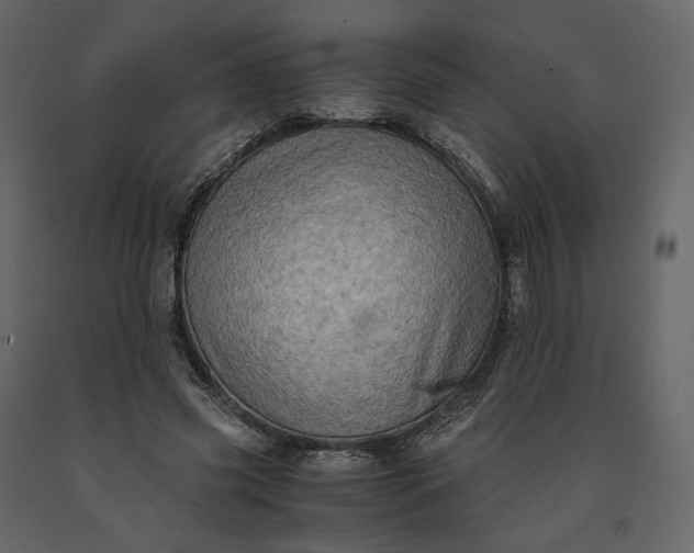 X0000091240541200708231719