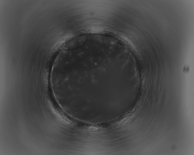 X0000091240542200708231719