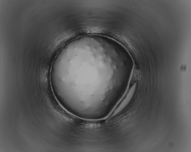 X0000091240543200708231719