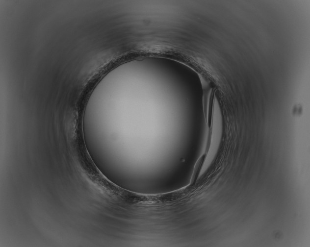 X0000091240544200708231719