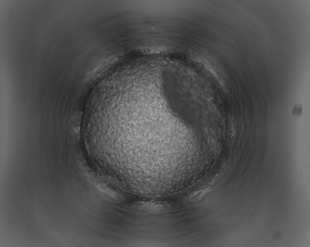 X0000091240545200708231719