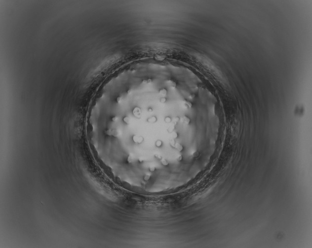 X0000091240546200708231719